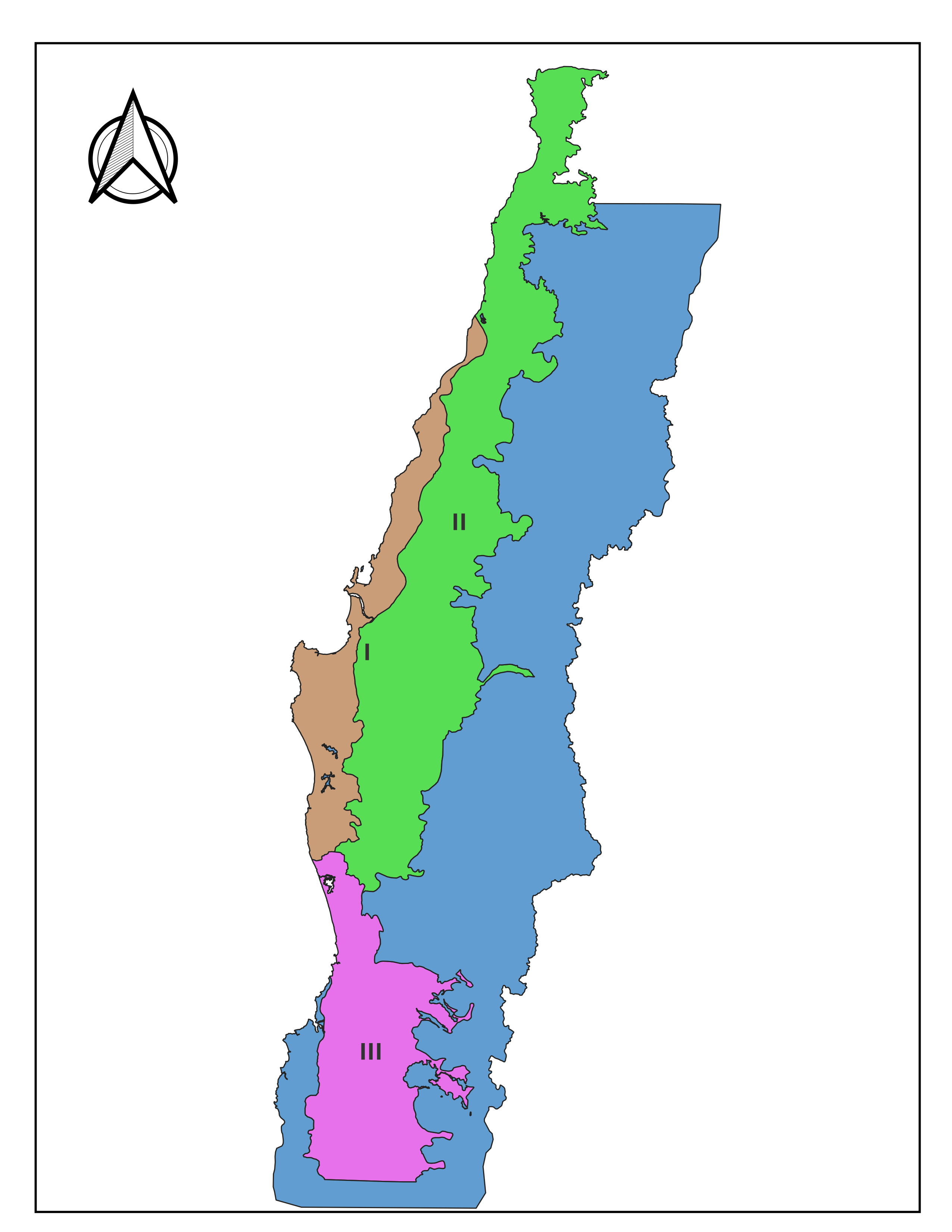 Zonas de Crecimiento Eucalyptus Globulus