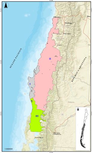 Zonas de Crecimiento Eucalyptus Globulus