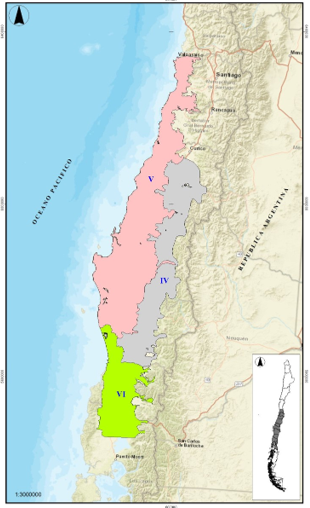 Zonas de Crecimiento Eucalyptus Globulus